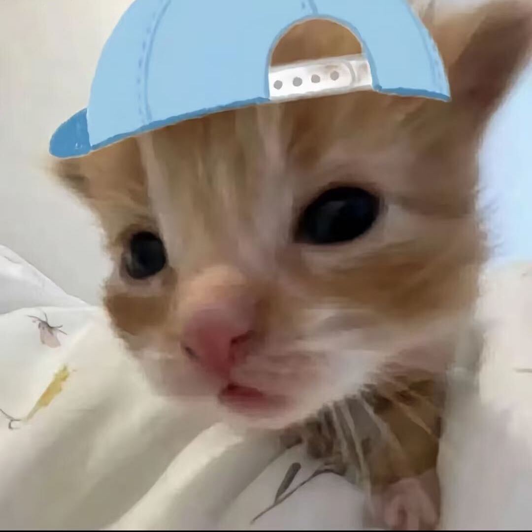 雪球