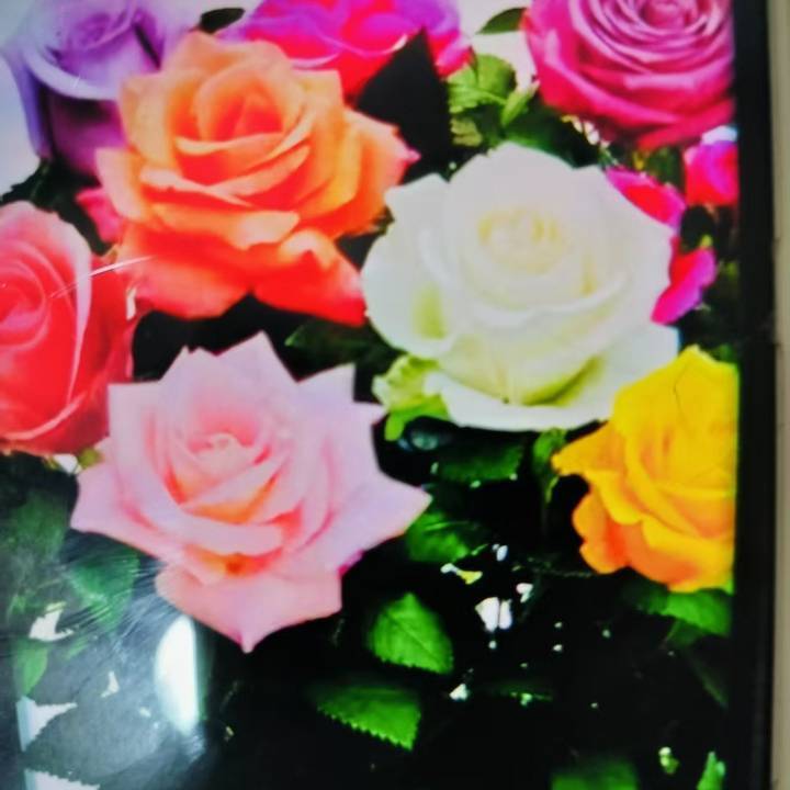 娓娓道来🌺🌺🌺🌺🌺