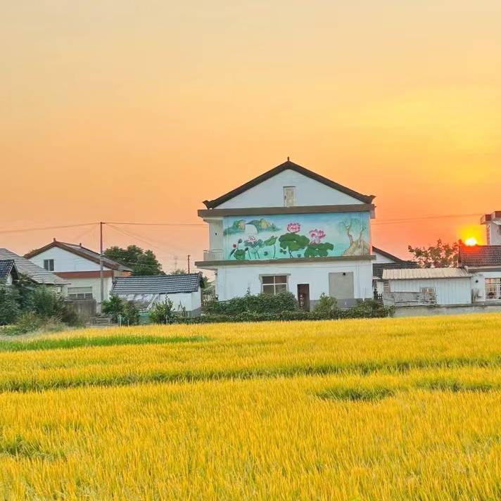远涯