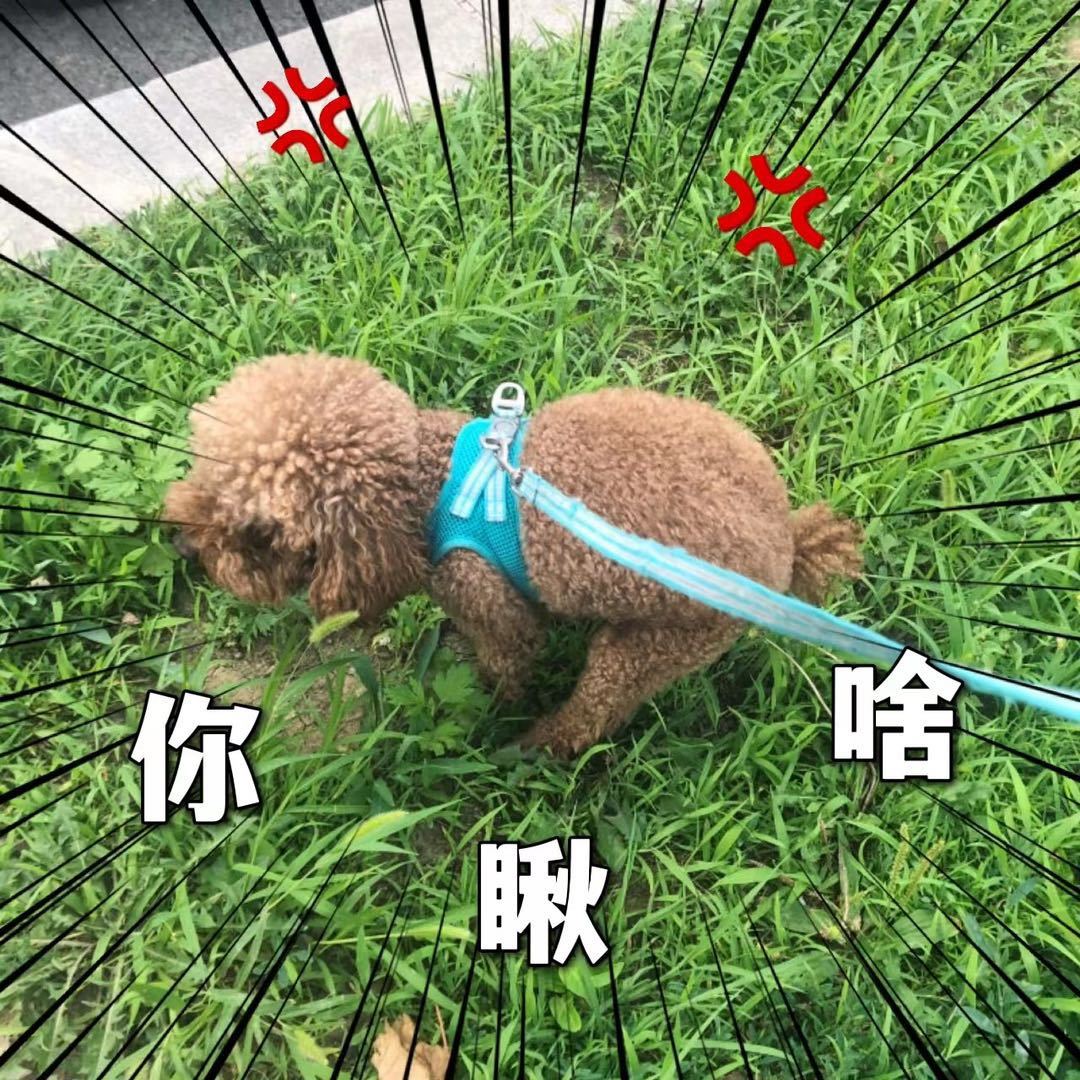 不着风怎么知道风的方向
