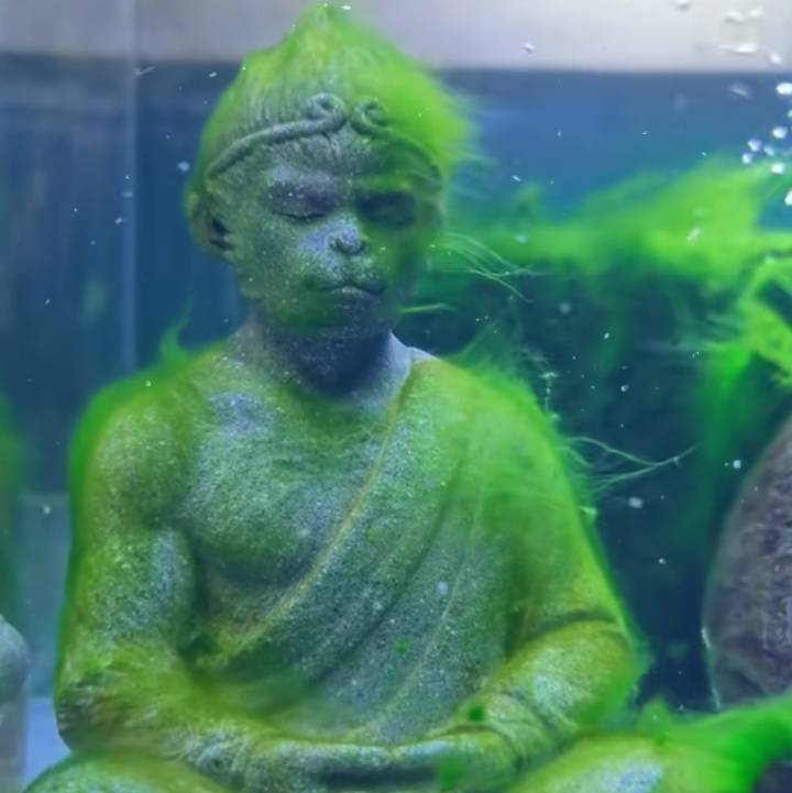 5加2心灵󾓭