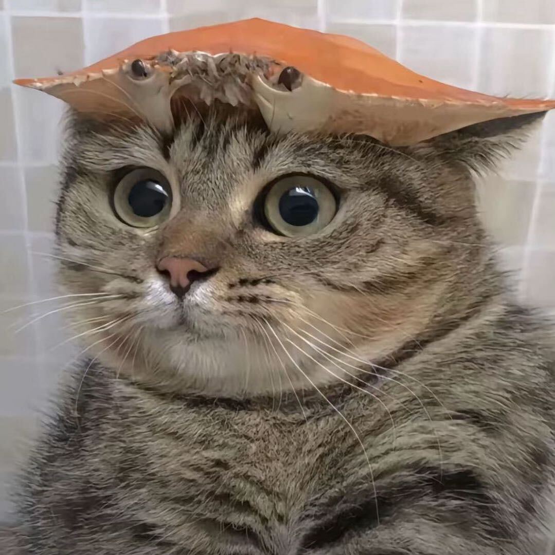 7hanks（见过鹿晗版！）