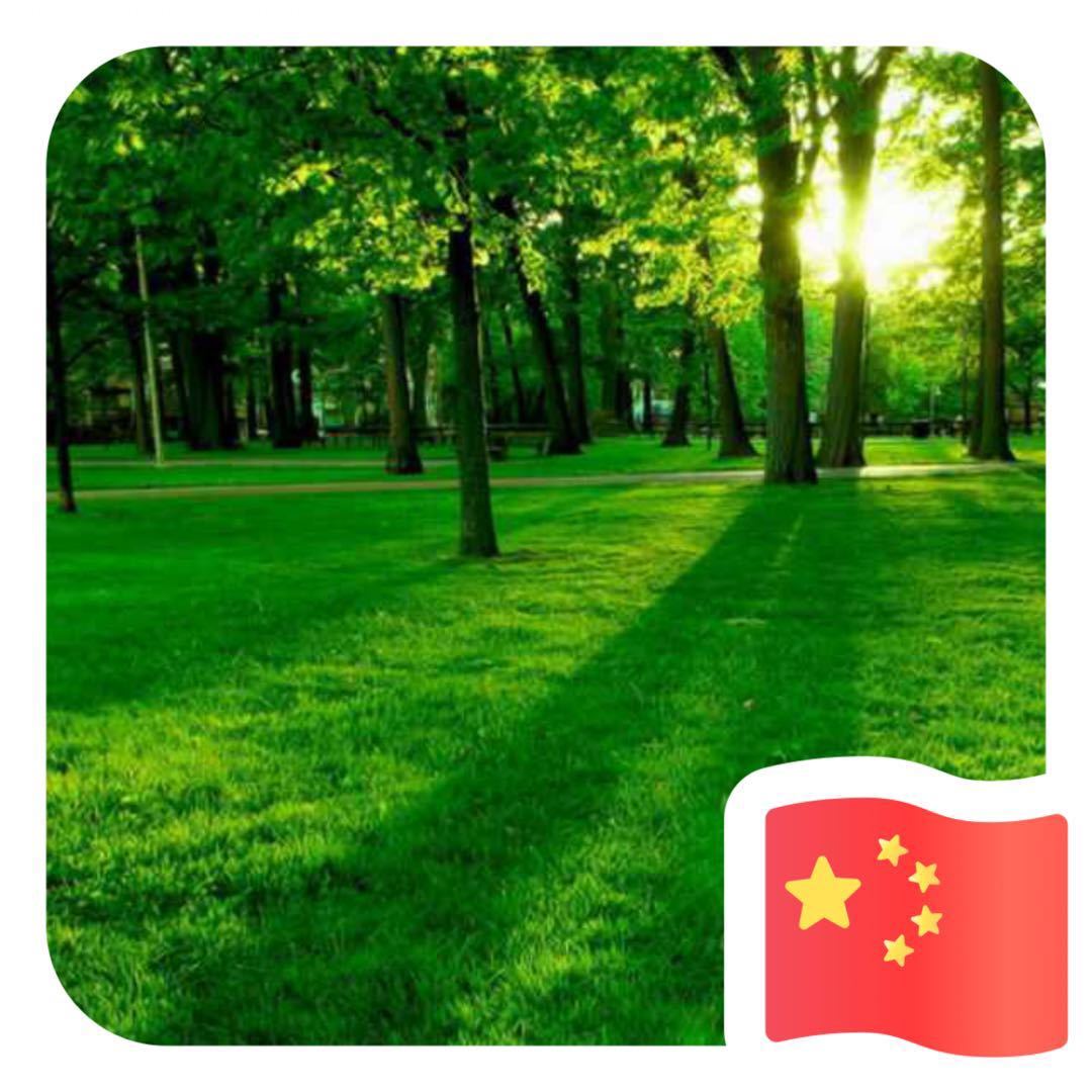 用戶頭像