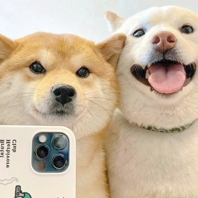 SN