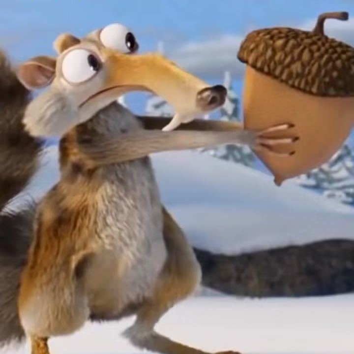 松鼠🐿