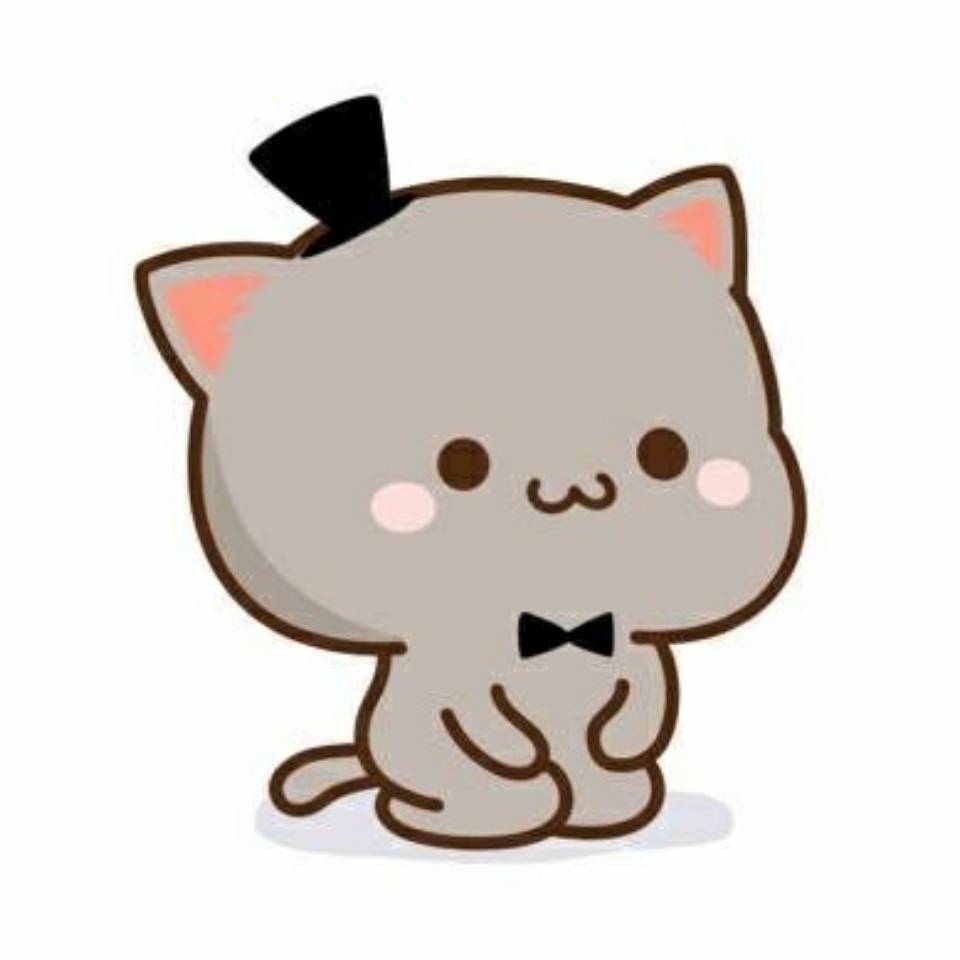 🇱 🇮 🇦 🇳 🇬