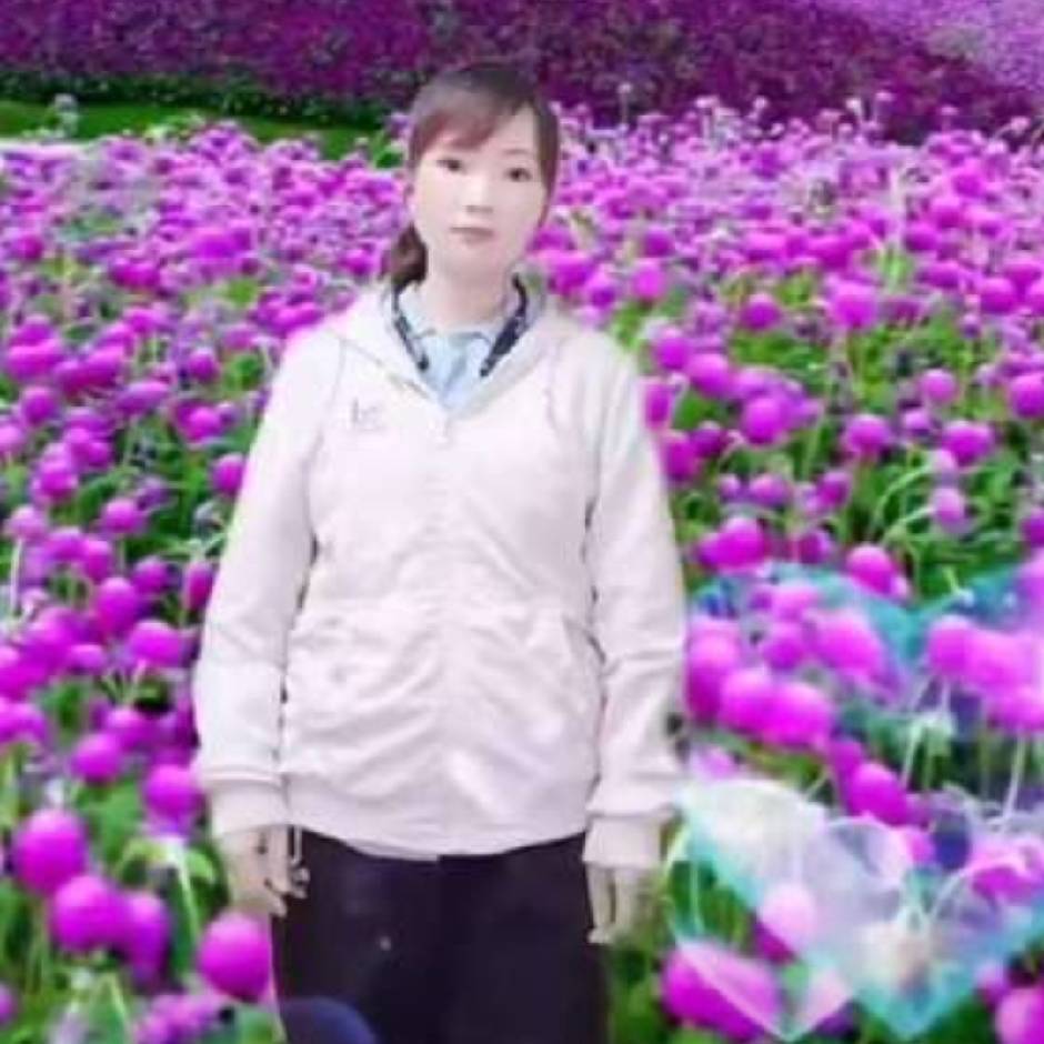 阿福特斯（蒙毫辰奕）520