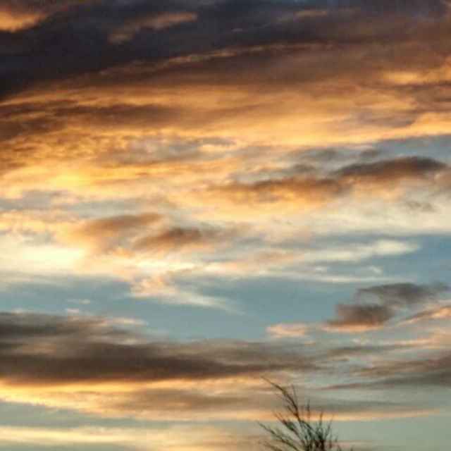 道🌚🌚 🐂🍺