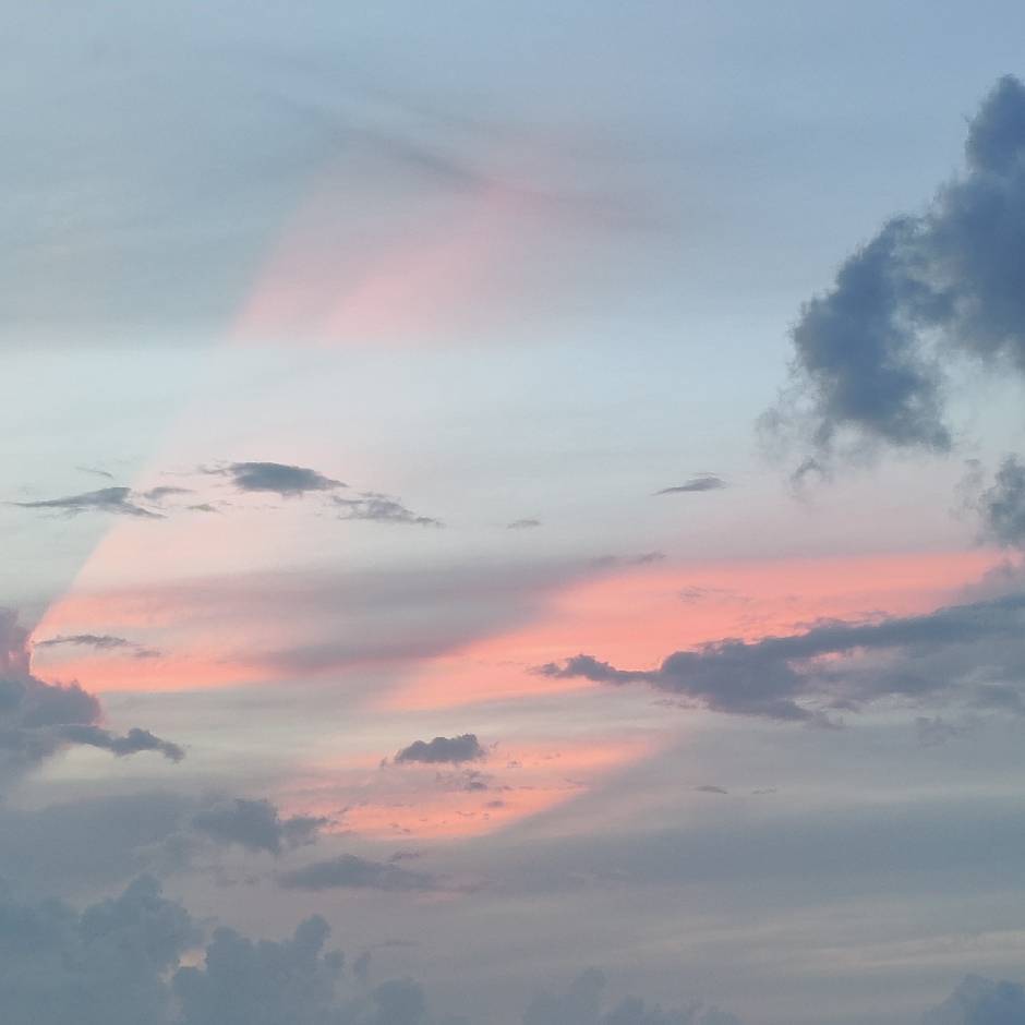駱