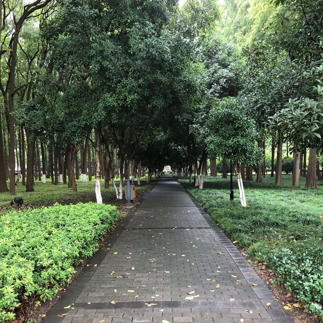 用戶頭像