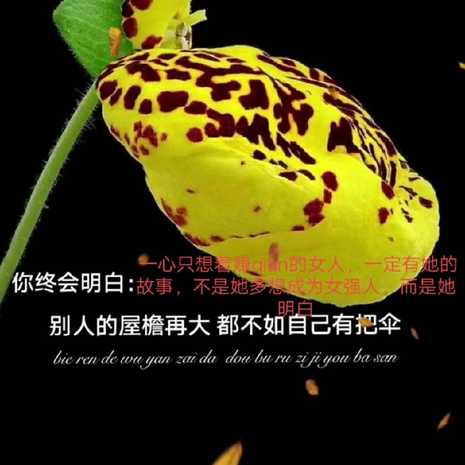 用戶頭像