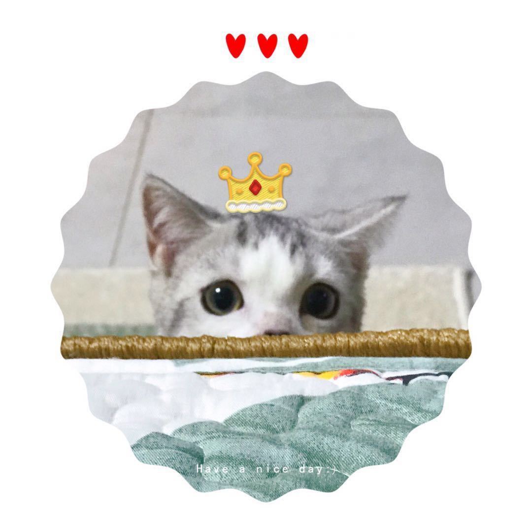 七七