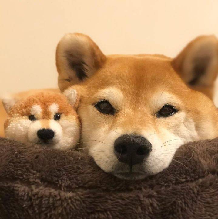 阿波
