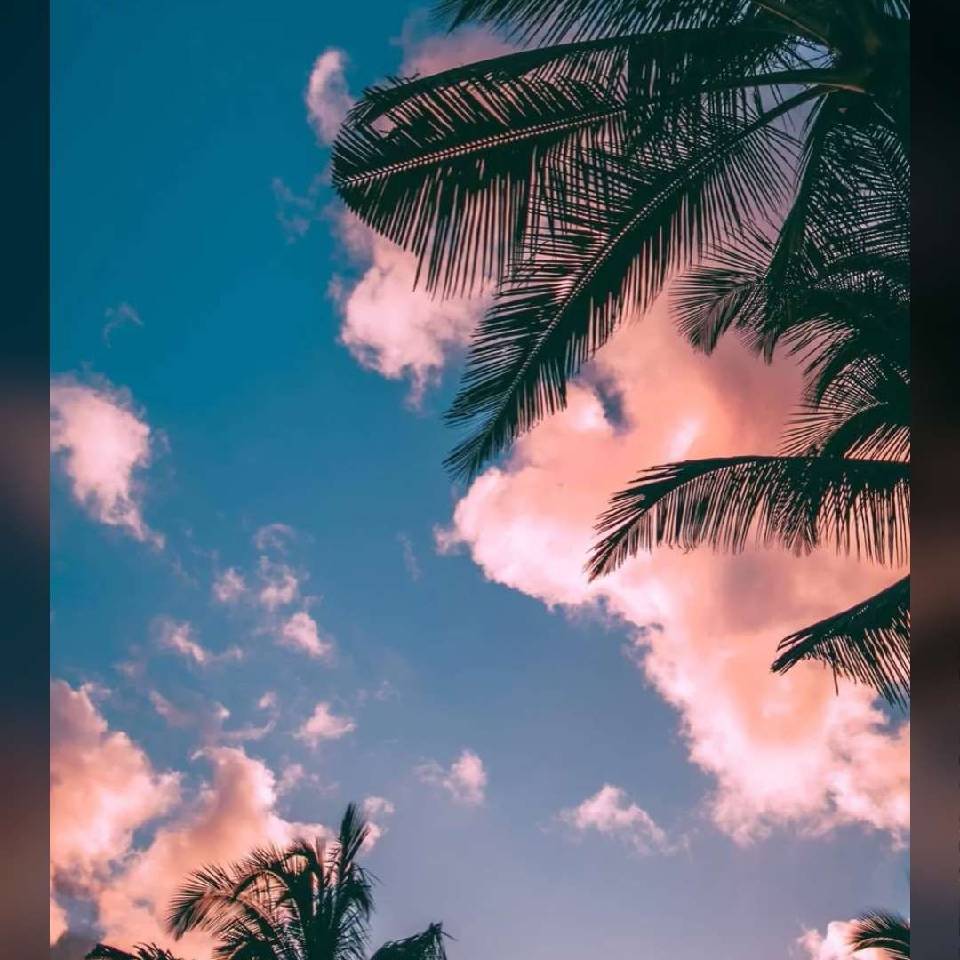 源计划