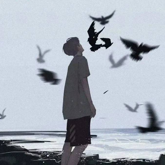 张努力