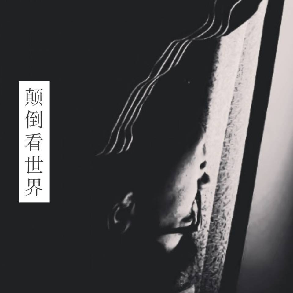 颠倒看世界