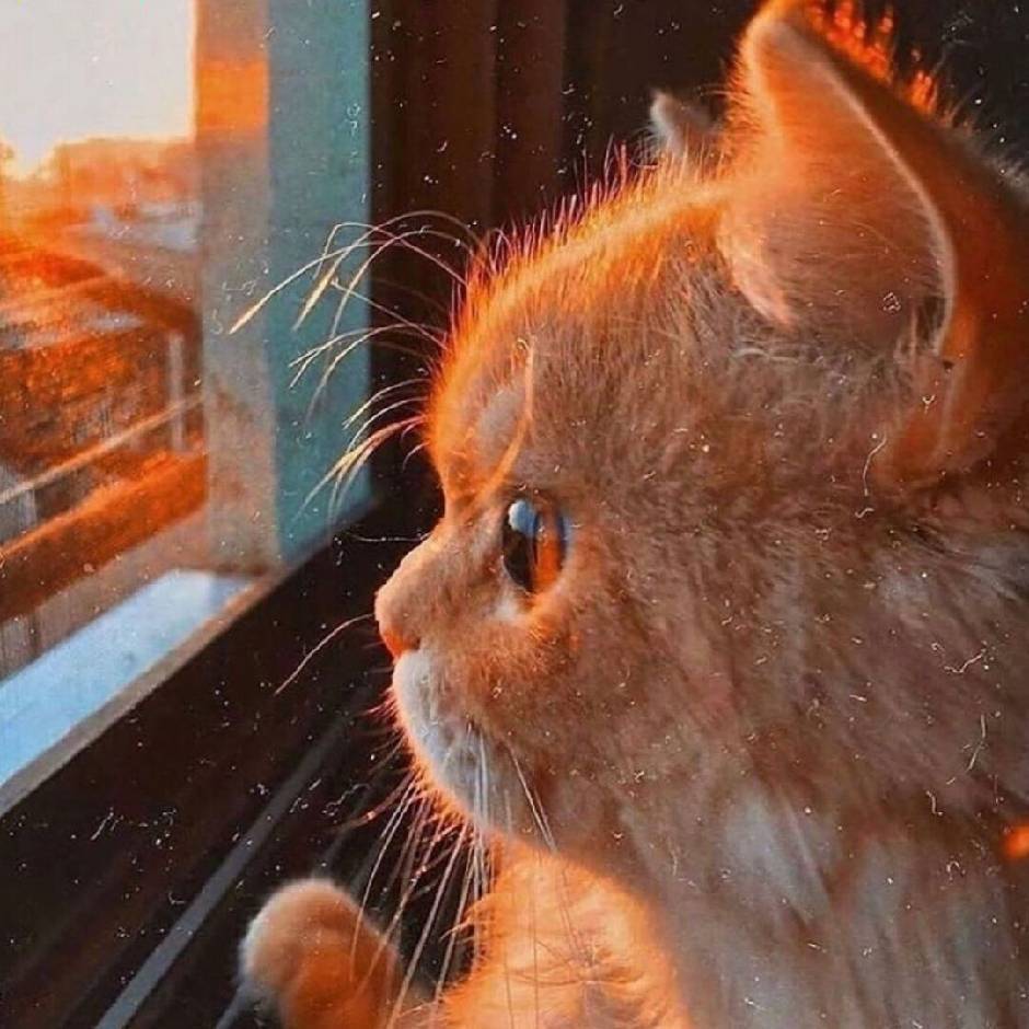 年少有为不自卑