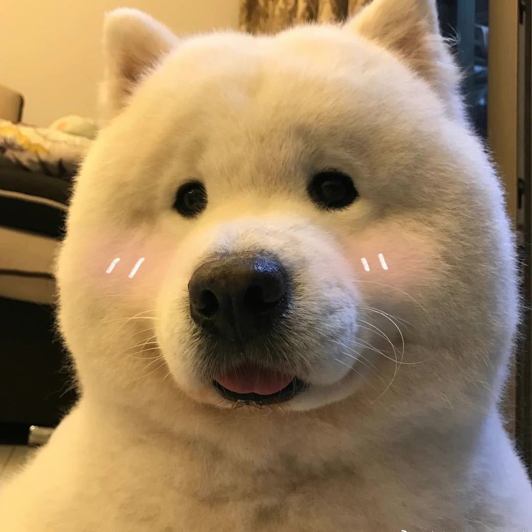 诗词苑苑长