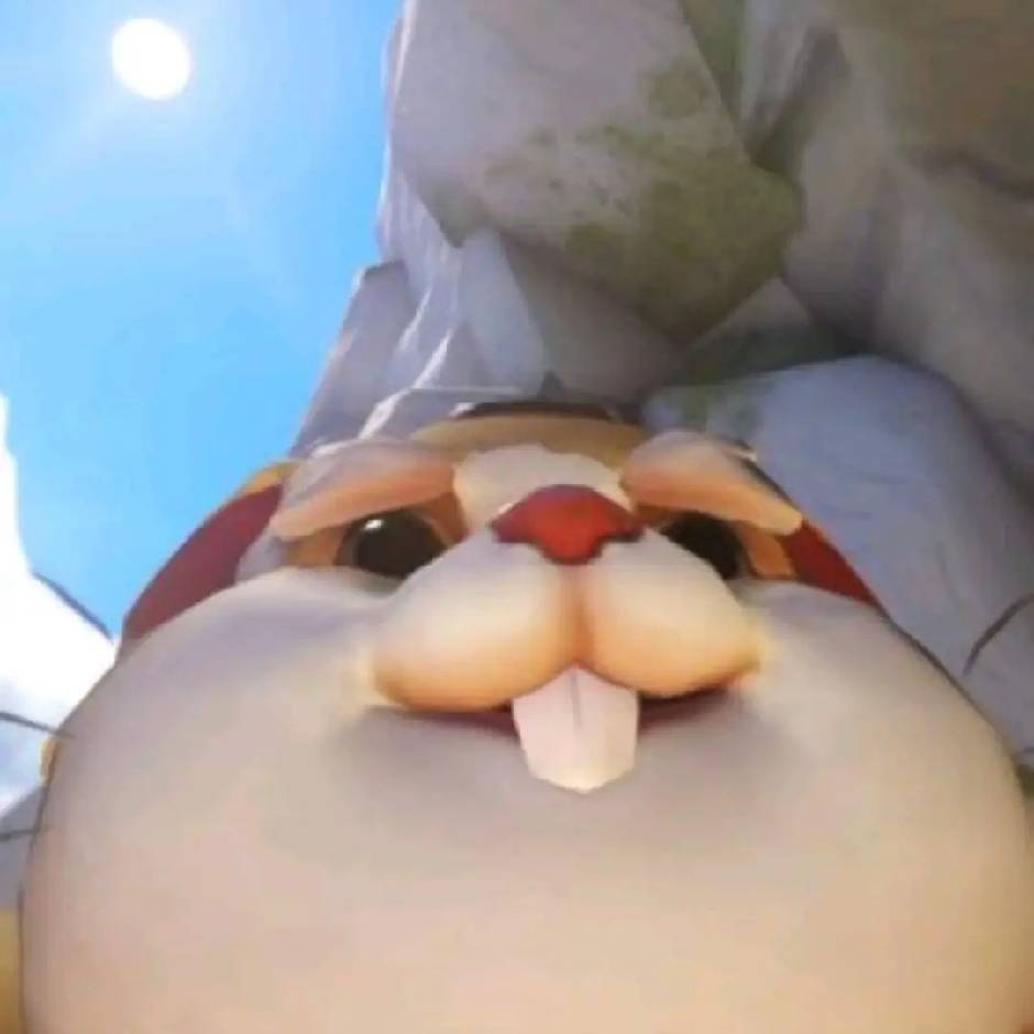 二货仙人