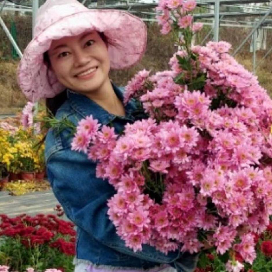 甜菜姐姐