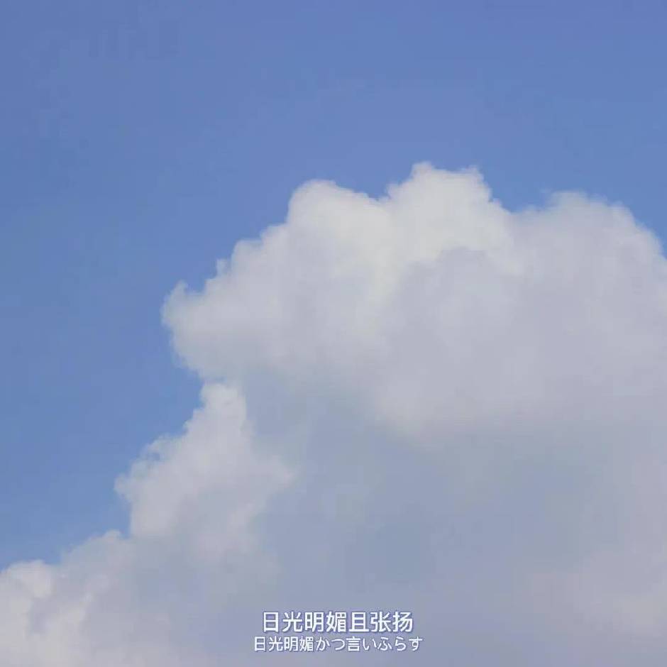 梦絮
