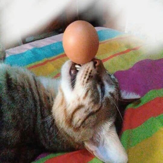 隐身