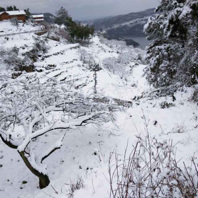 快乐根据地
