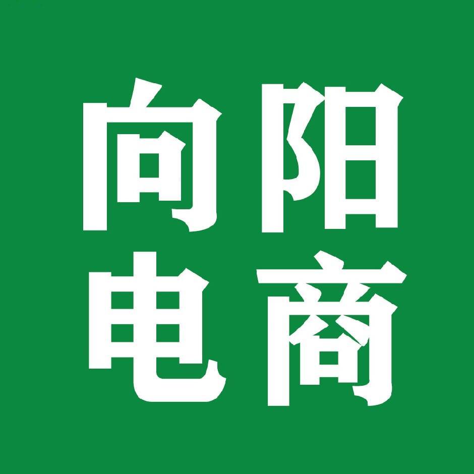向阳电商王湦13314672949