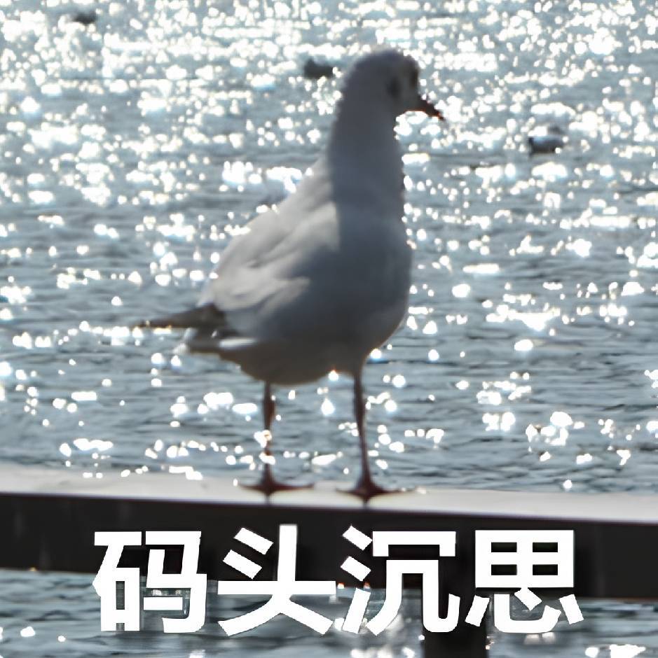 星期五