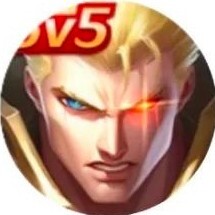 55对战大乱斗