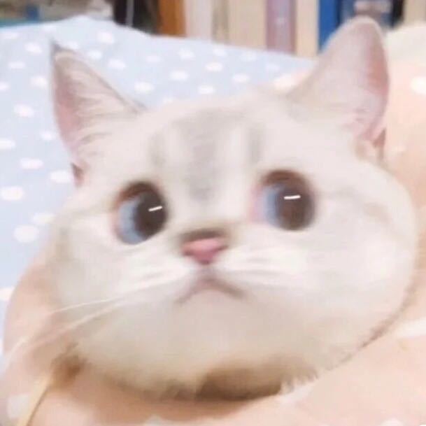 艺