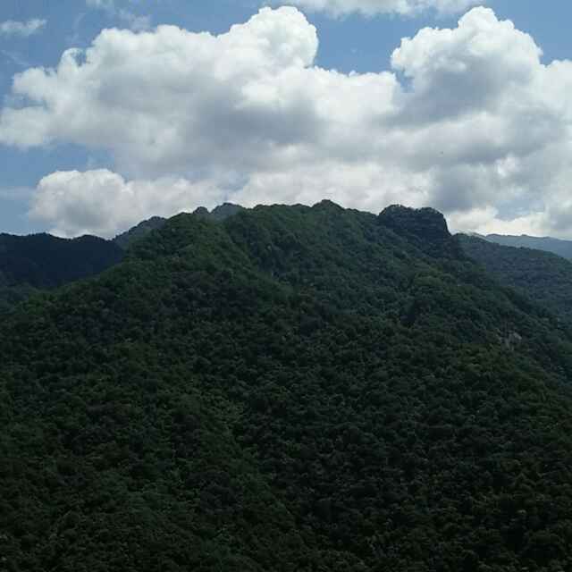 用戶頭像