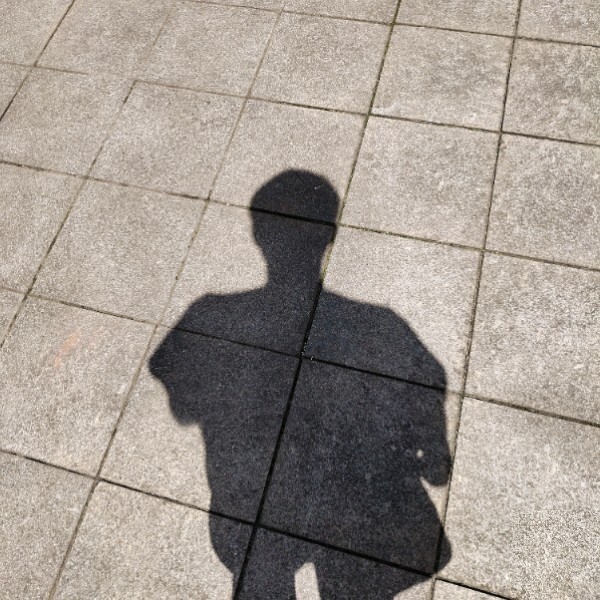 阵阵风吹