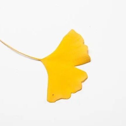 不行、没空、做不到