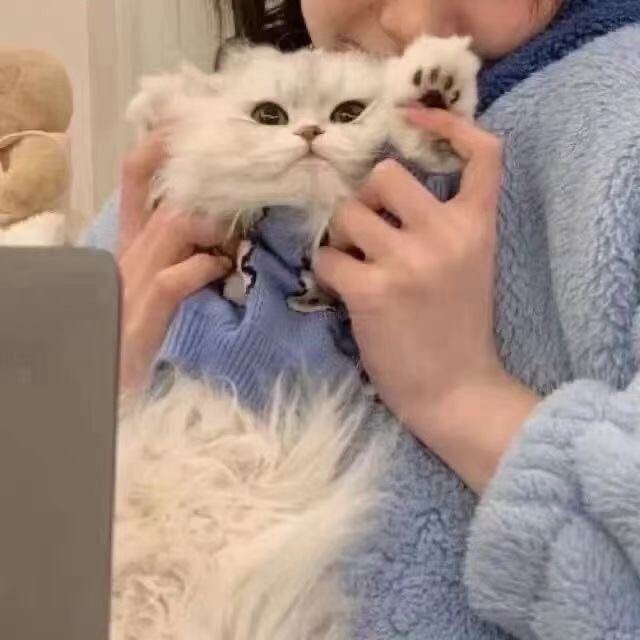 陈关羽