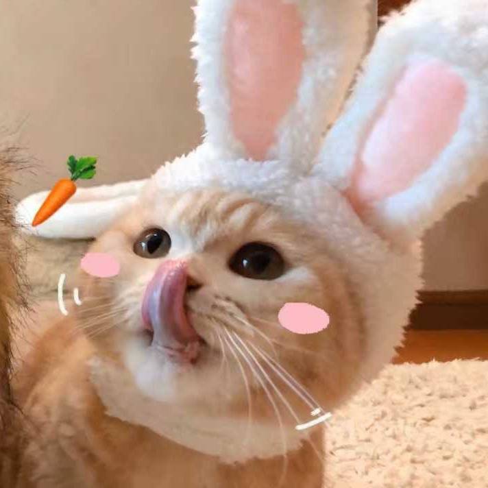 用戶頭像