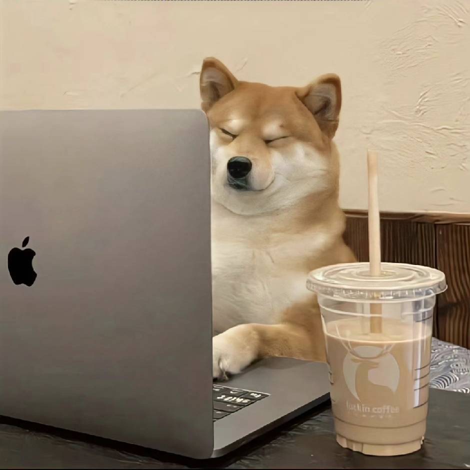 Hᴀʙɪᴛ