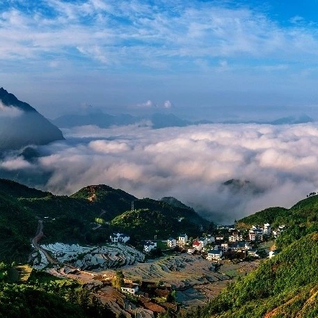 🌸付款马💰