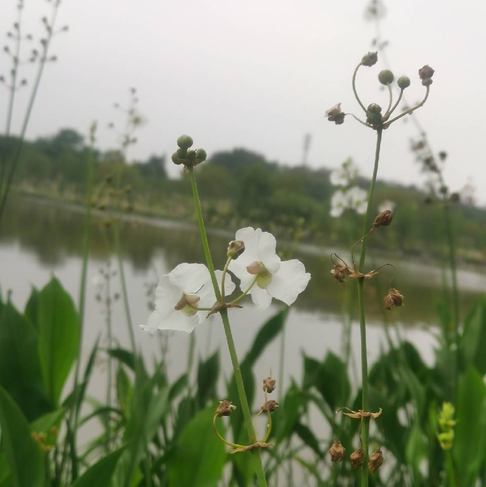 英语单词词根词缀记忆法：看这本就够