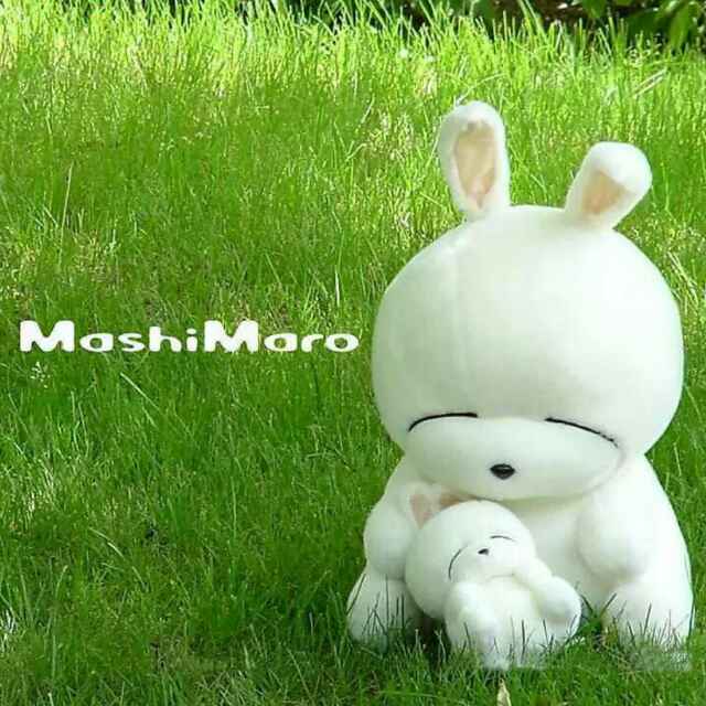 用戶頭像