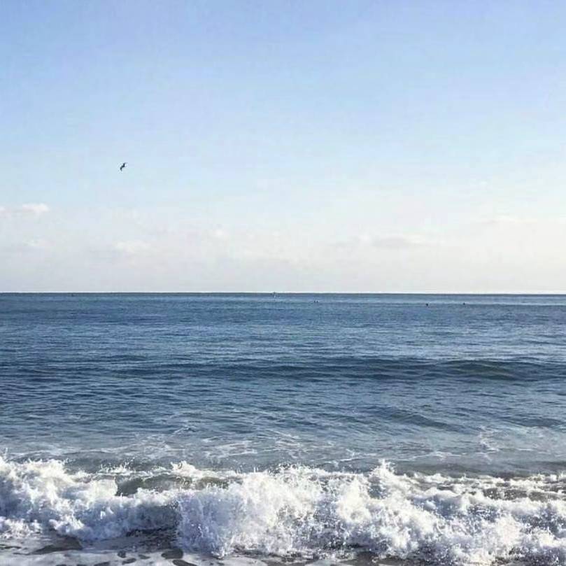 陶陶