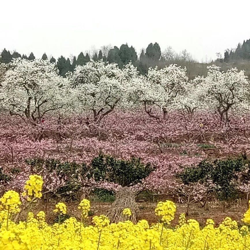 滴水风光美