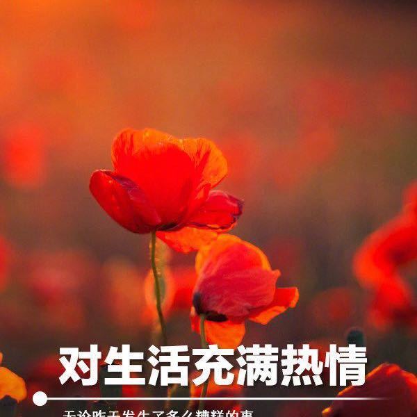 汽车标识符号全知道（第4版）