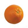 一个ORANGE