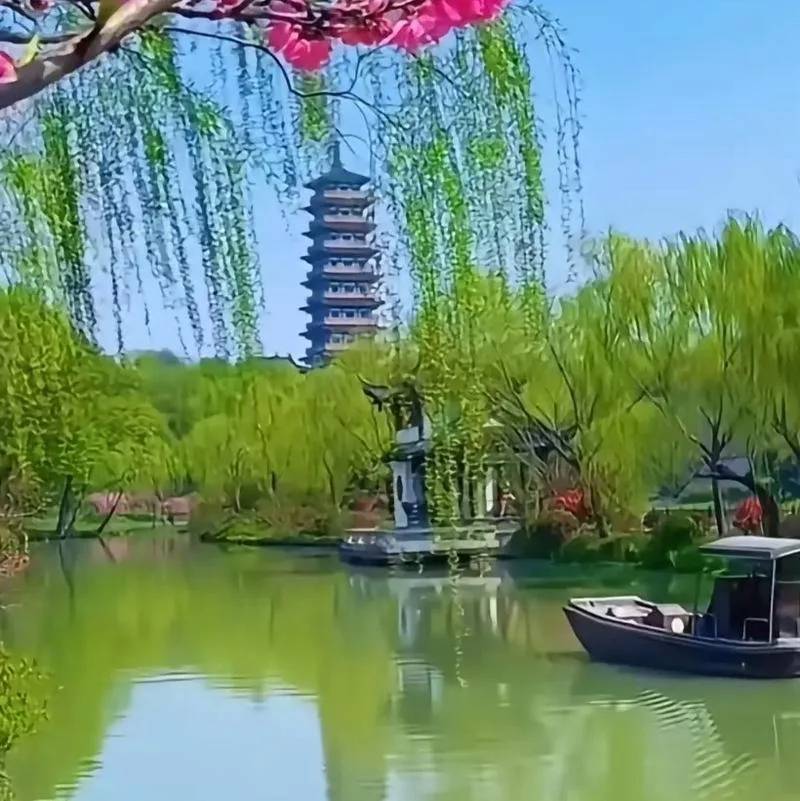 我爱这个家