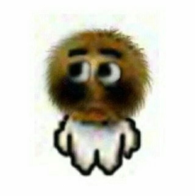 ==