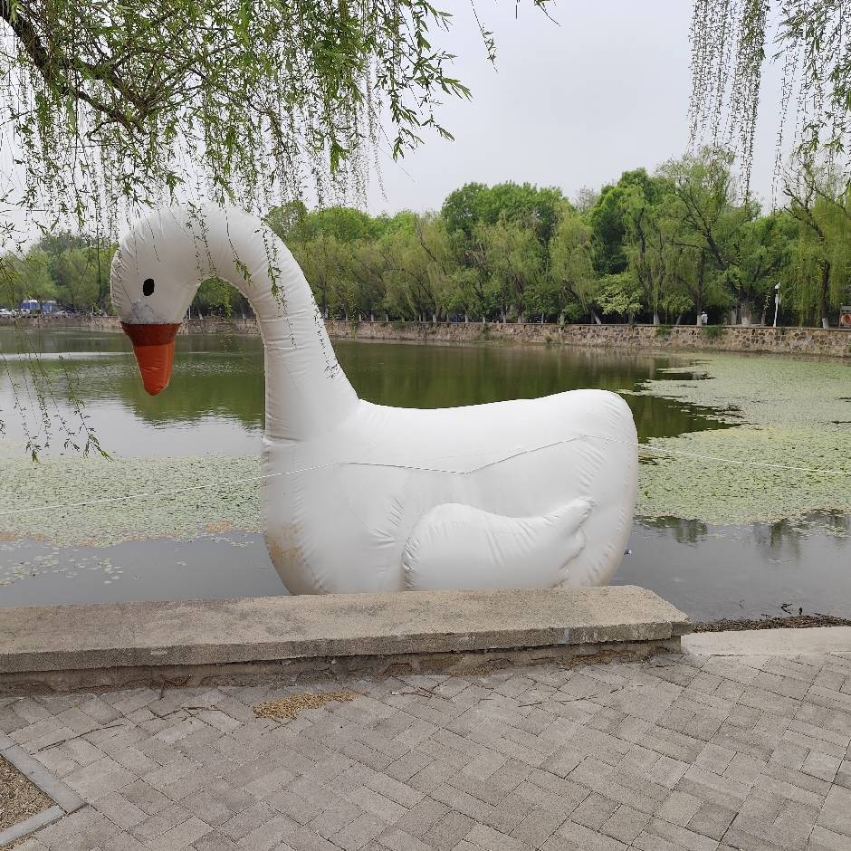 菲尔普斯