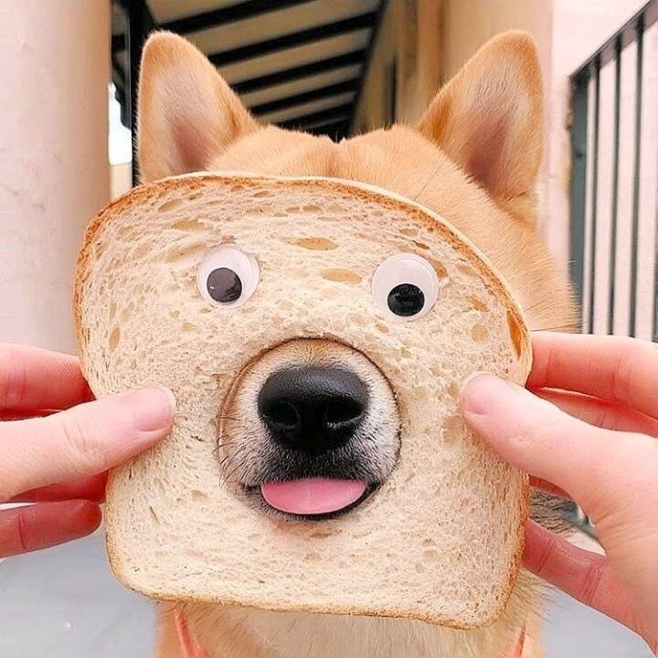 喧嚣