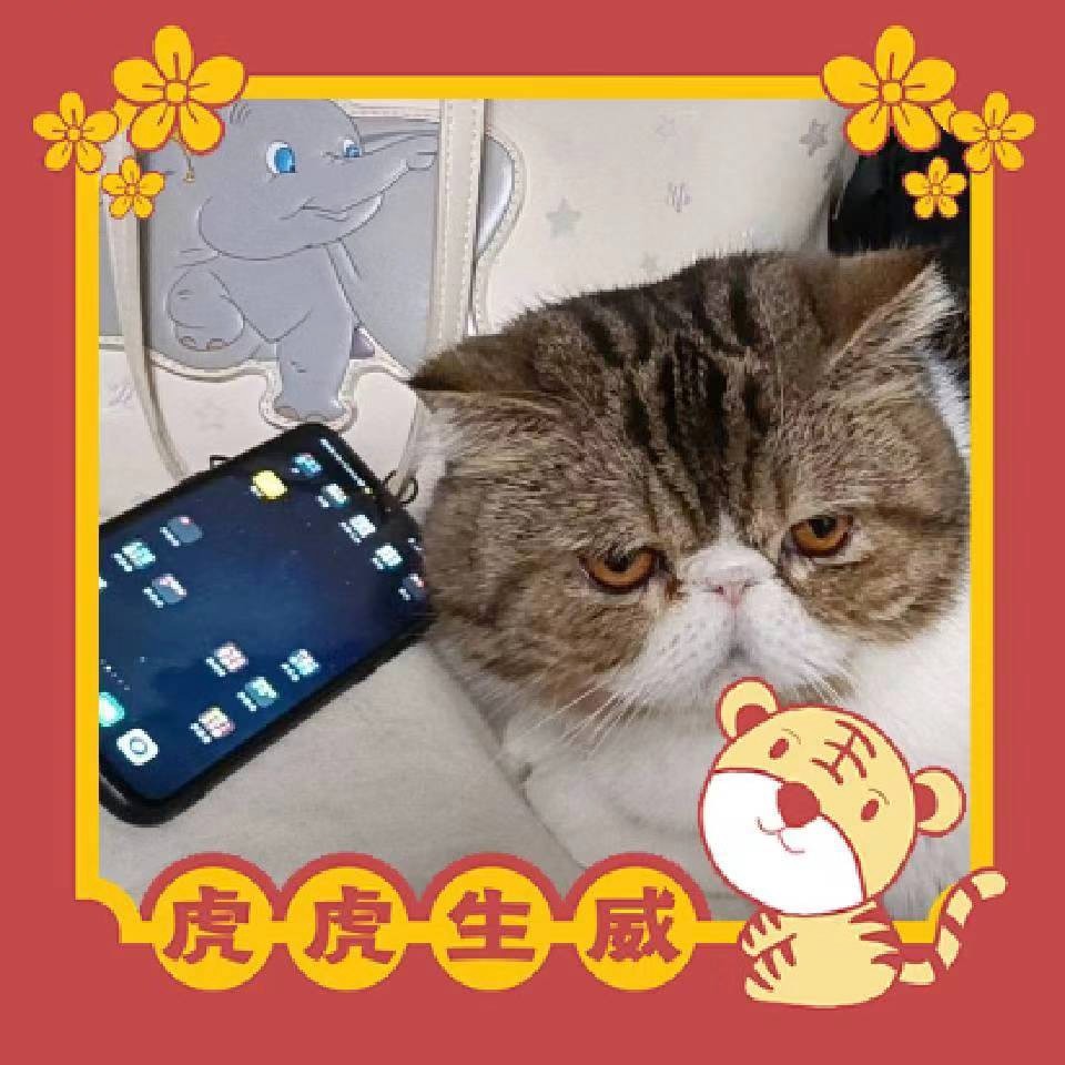 再吸一口居居
