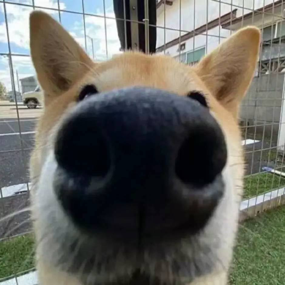 😋 😋